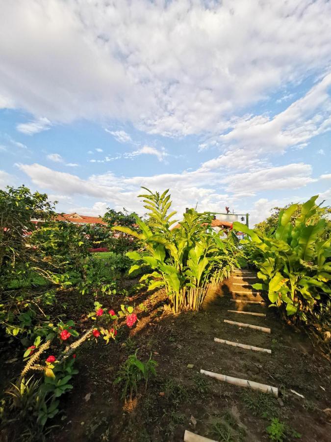Hotel Arrayanes Del Quindio Montenegro Extérieur photo